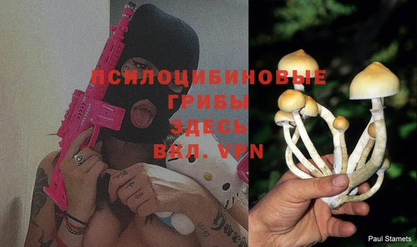 мефедрон Снежногорск