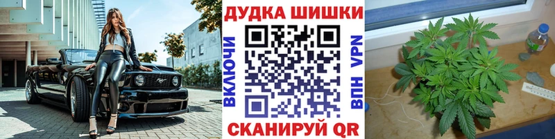 Бошки марихуана THC 21%  Купить  Азов 